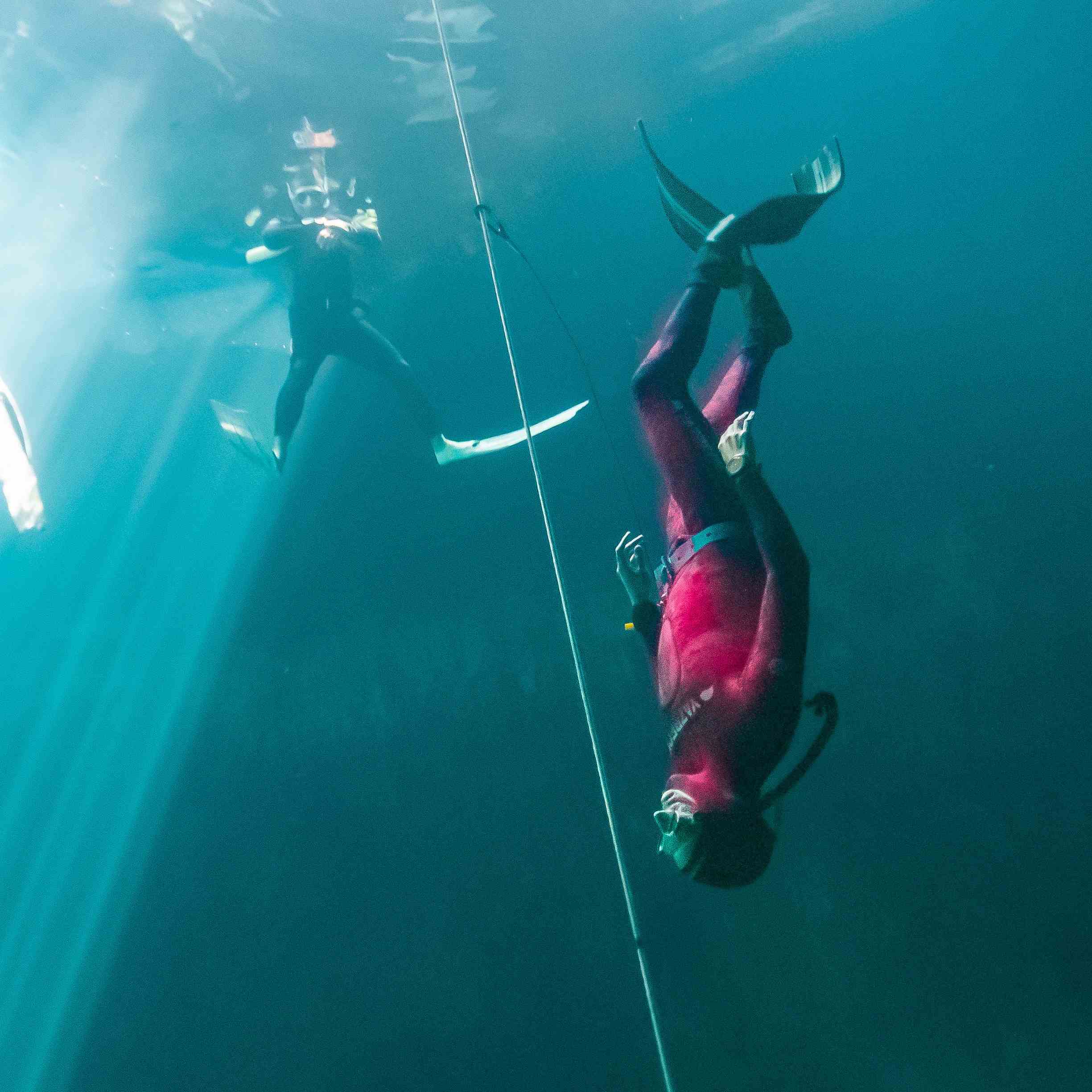 PADI Freediver | Confined and Open water Certification in One Day | 06/08/25 9am-3pm